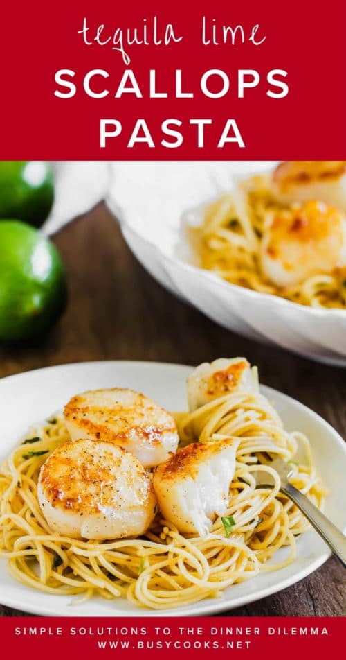 The easiest and quickest dinner recipe for seafood and pasta lovers! This tequila lime scallops pasta is where comfort meal meets bright and fresh flavors! #easydinner #quickdinnerrecipe #busycooks #searedscallops