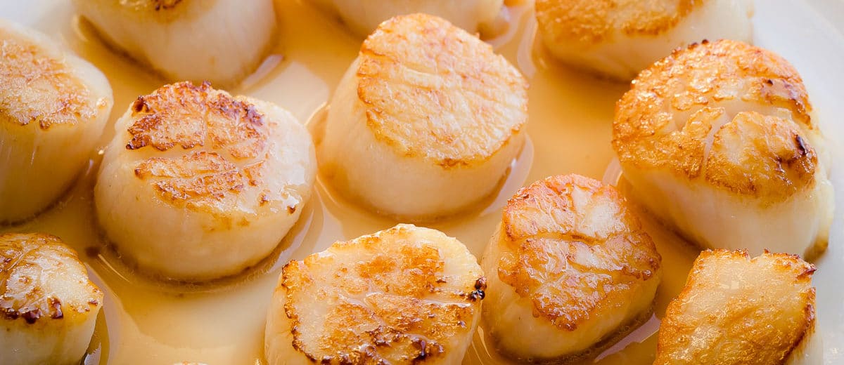 How To Cook Perfect Seared Scallops Busy Cooks