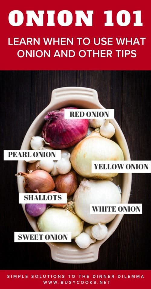 Onion 101 Six Most Common Types Of Onions Busy Cooks,Recipe For Oxtails