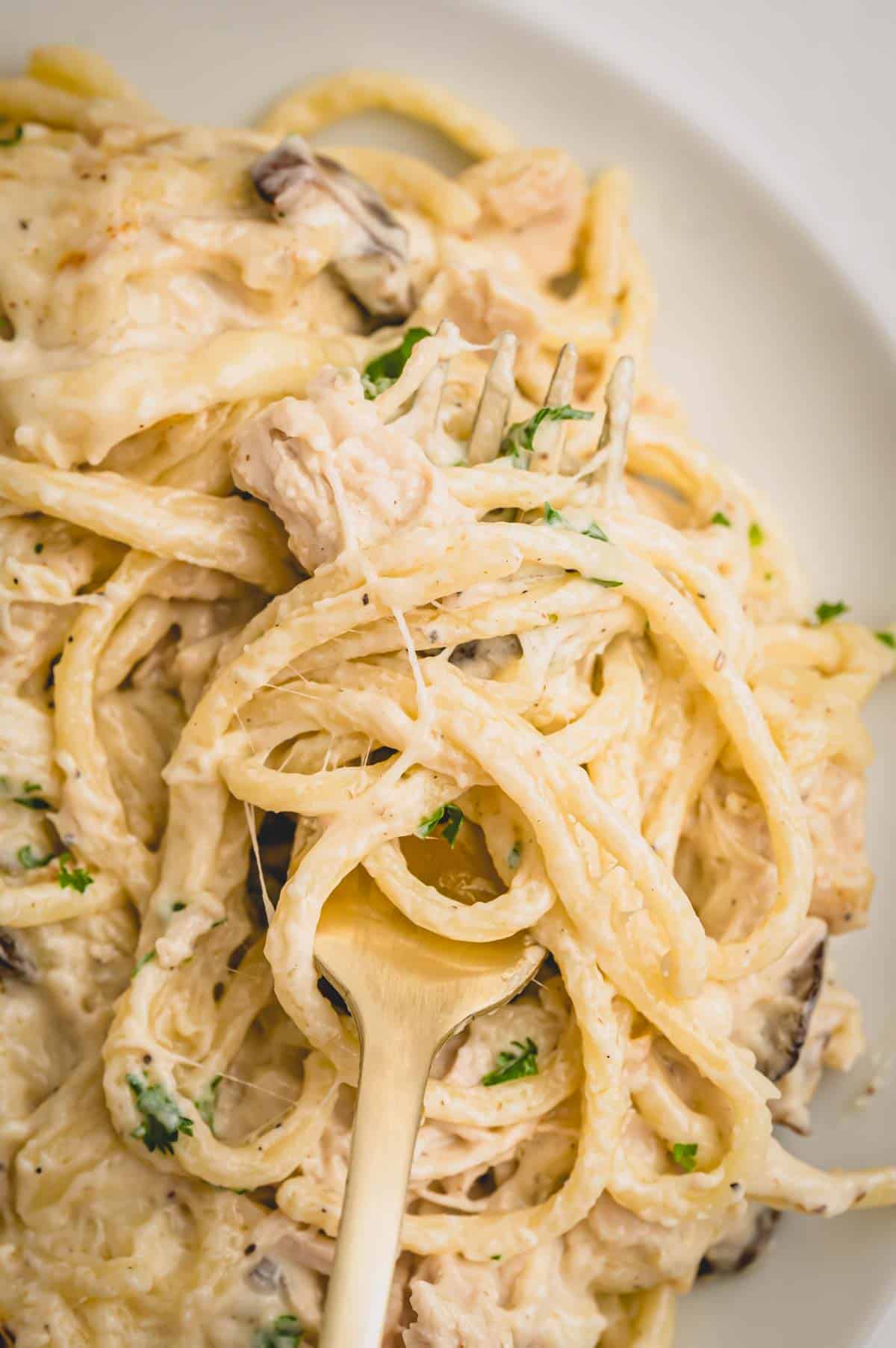 Turkey tetrazzini on plate with a fork.