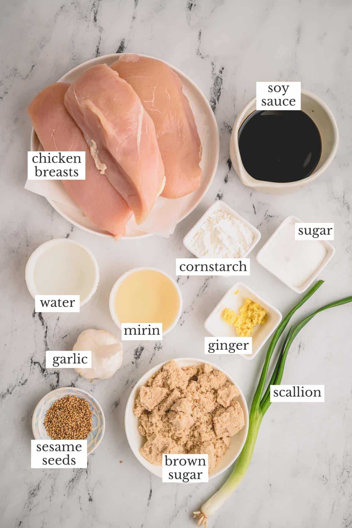 ingredients for chicken teriyaki. 