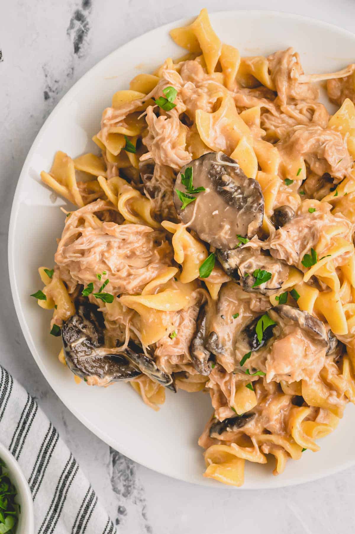 a plate of chicken stroganoff with egg noodles.